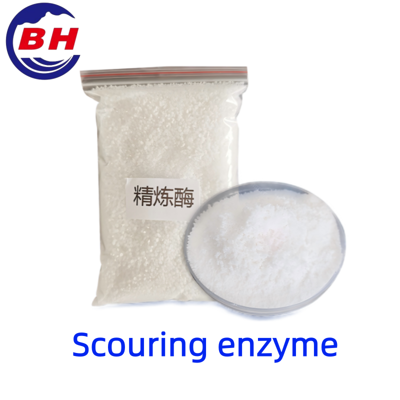 Enzyme de récurage H8413