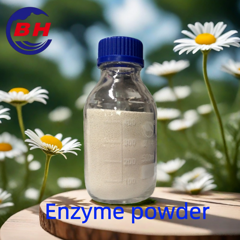Poudre d\'enzymes H8808