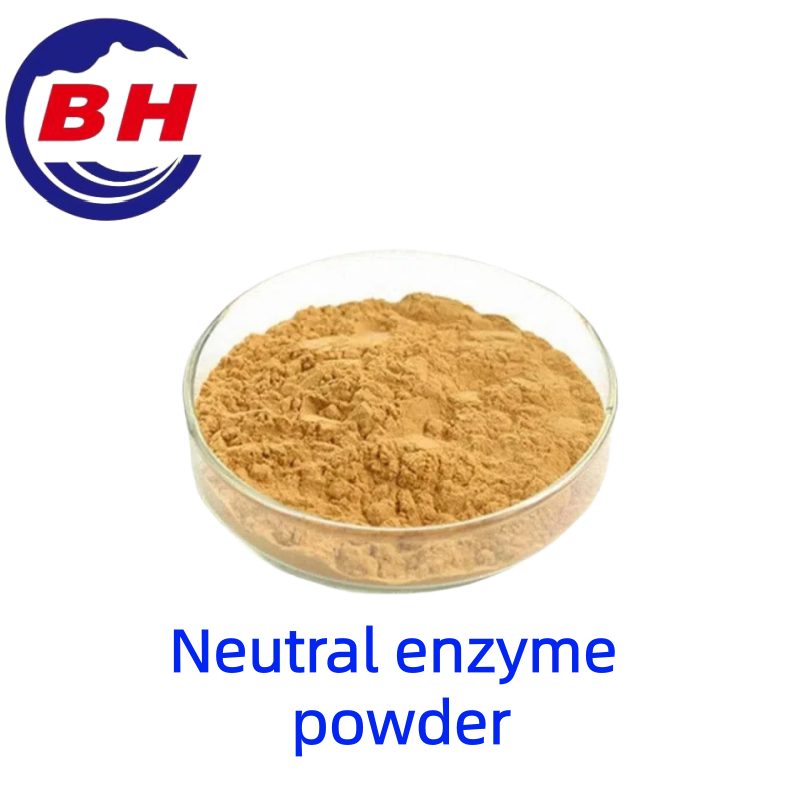 Poudre d\'enzymeneutre H8813